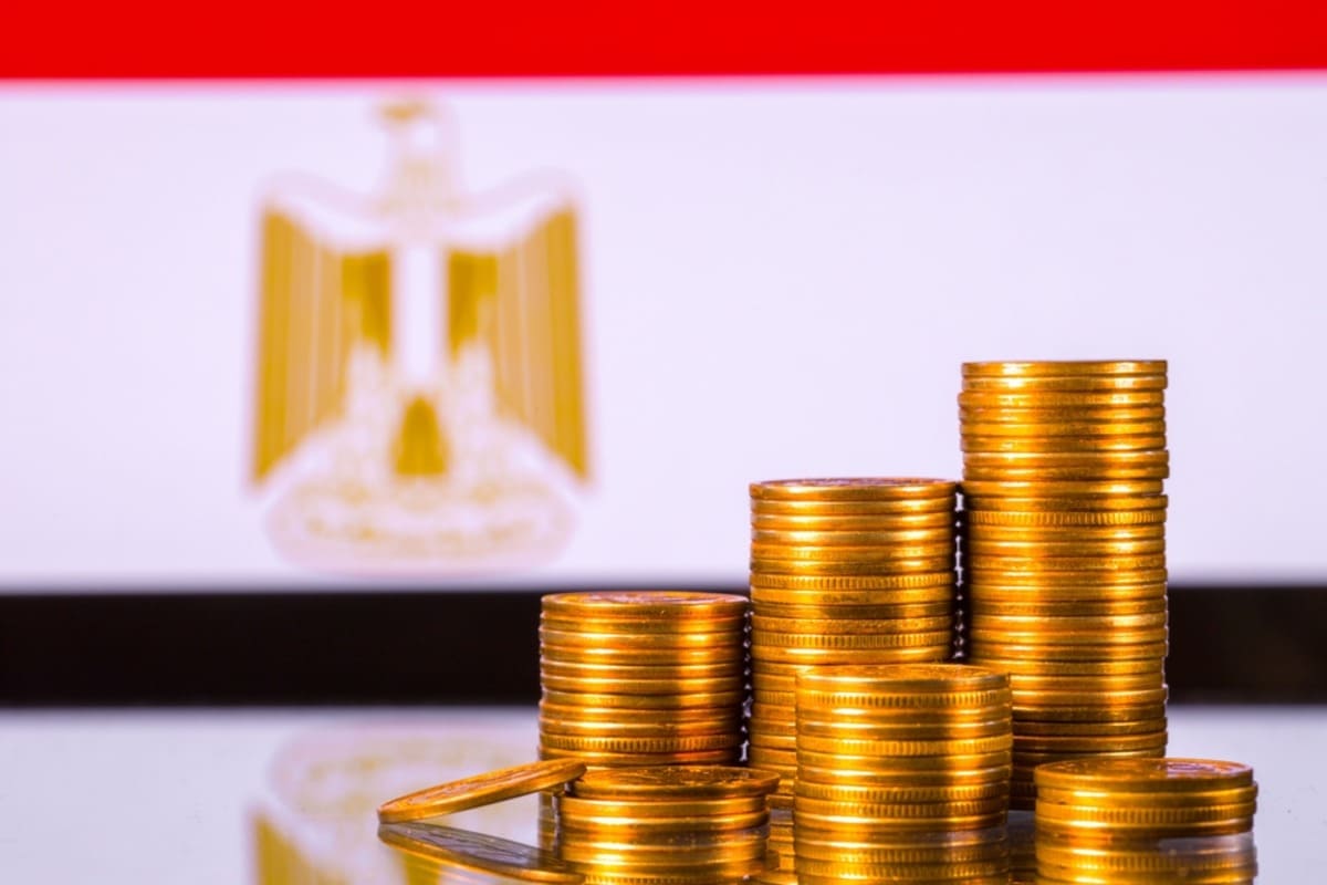 Egypt conducts key reforms to enhance public administration amid challenges: OECD

